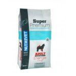 sp-energy-30-22-active-dogs.jpg